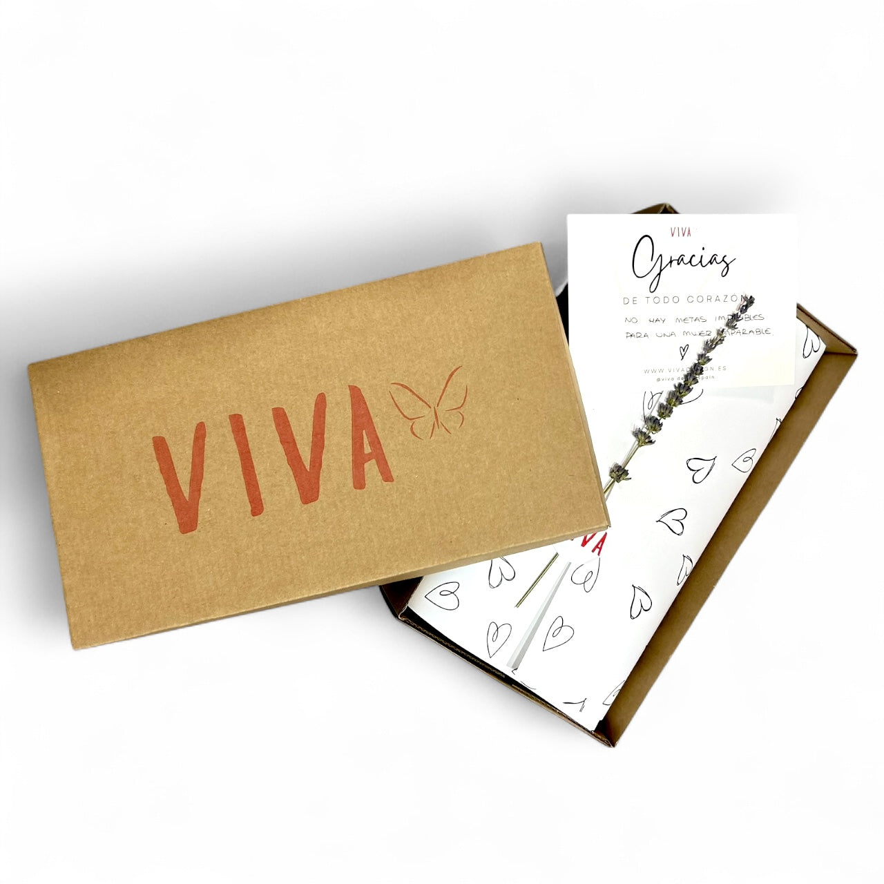 Mercedita ELSA Verde y Marrón