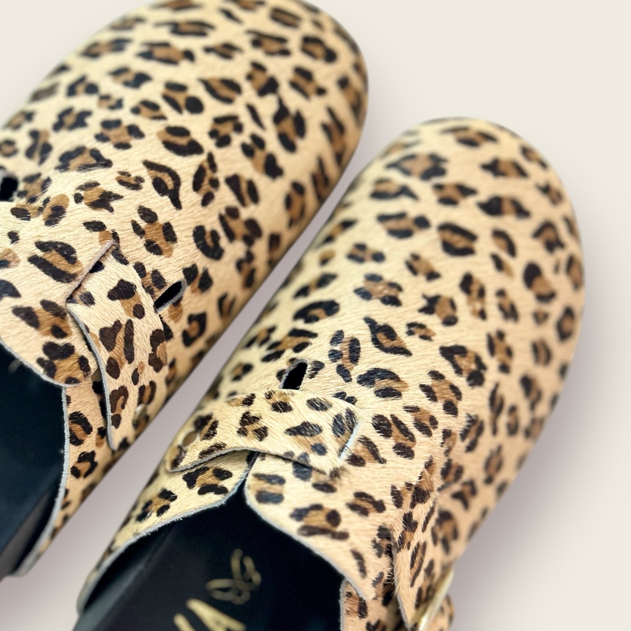 Zueco TERRA. Leopardo