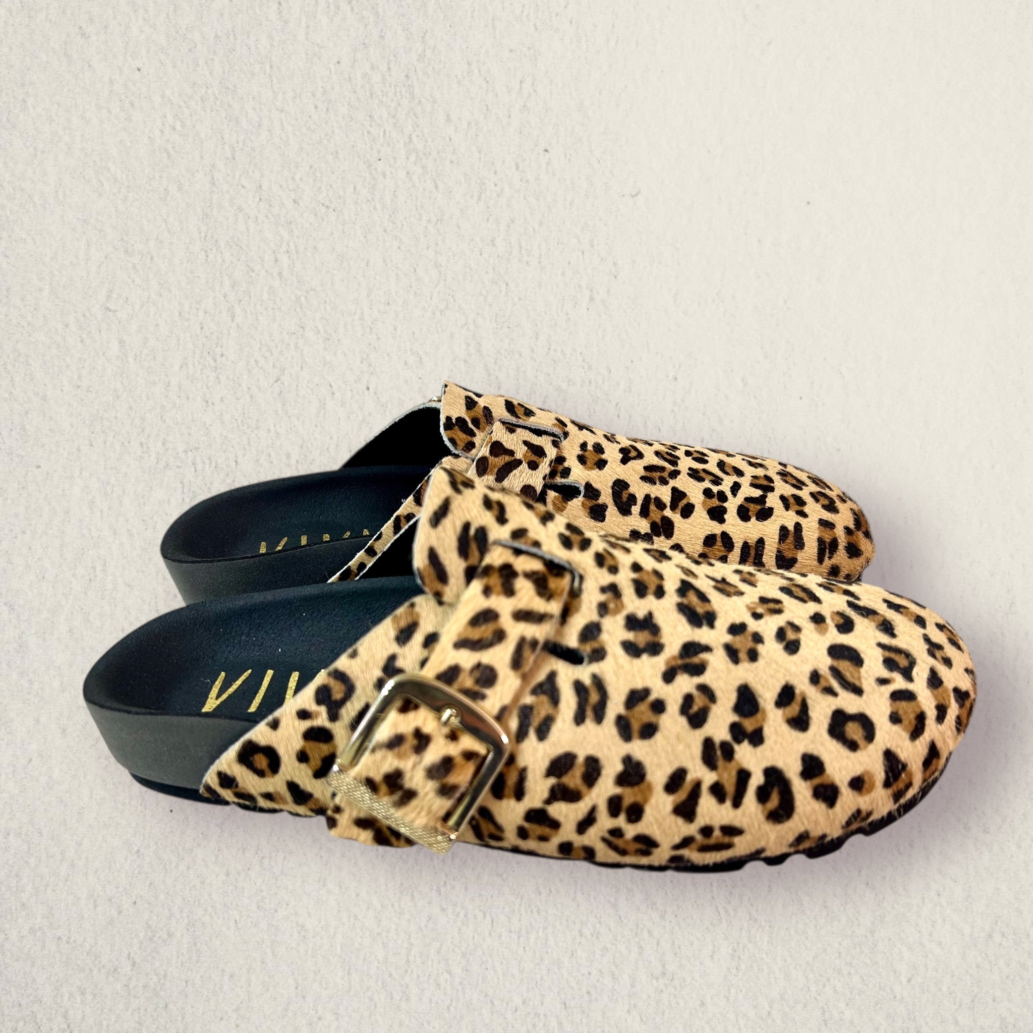 Zueco TERRA. Leopardo