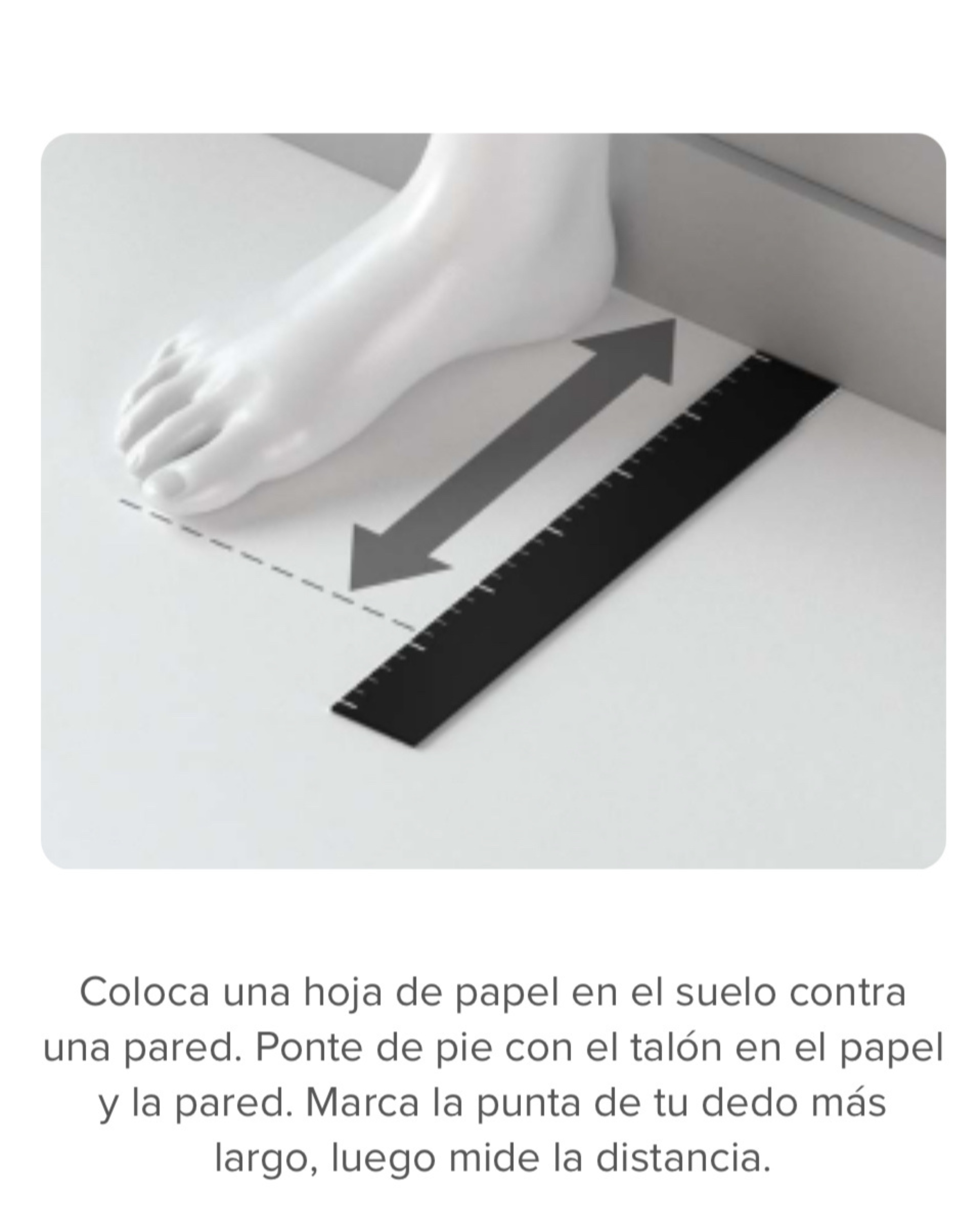 Guía de tallas 1